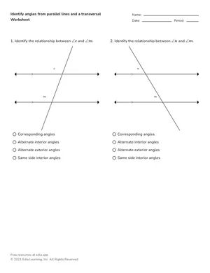 Identify angles from parallel lines and a transversal worksheet preview