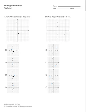 Identify point reflections worksheet preview