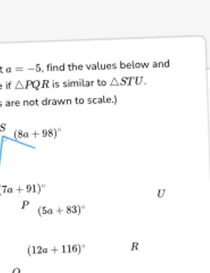 Prove triangles are similar using algebra worksheet preview