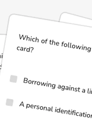 Debit and credit cards worksheet preview