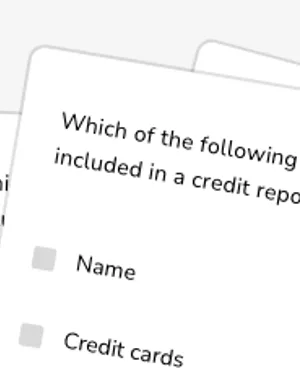 Credit history and reports worksheet preview