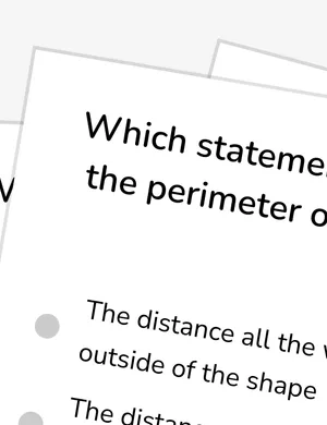 Understand perimeter and add side lengths worksheet preview