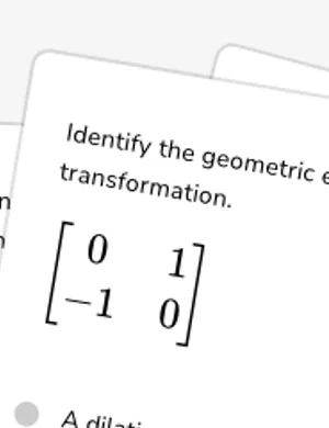 Matrix transformations and geometric effect worksheet preview
