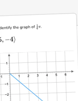 Graphing vectors worksheet preview