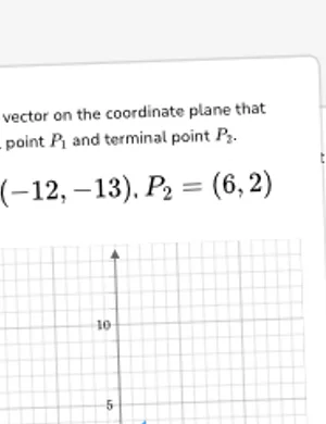 Vectors on the coordinate plane worksheet preview