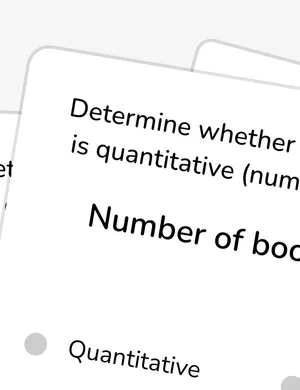Quantitative and Categorical Data worksheet preview